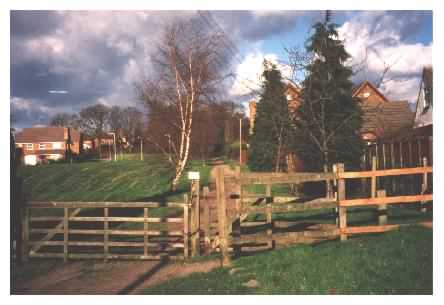 Frog Lane - main walk to the park