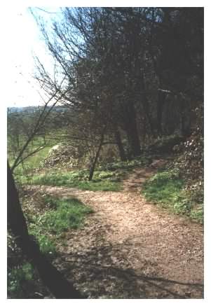 Top path down to the park