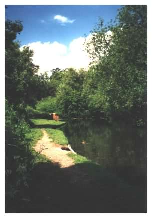 Pond dipping area