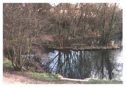 View over pond to top island