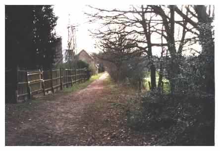 View down Frog Lane