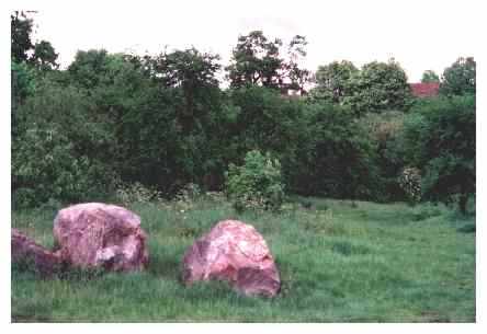 Vandalised rocks cleaned