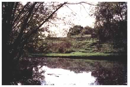 Pond view - to steps