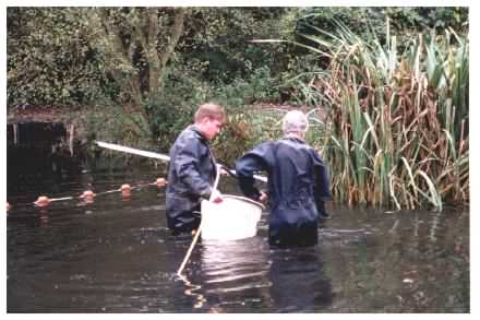 Fish Sampling