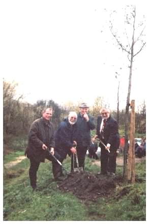 Tree Planting