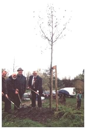 Tree Planting