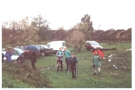 Tree Planting