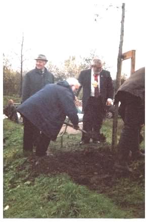 Tree Planting