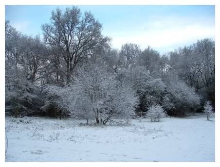 View to woods (left)