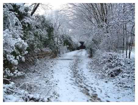 Upper pathway into park