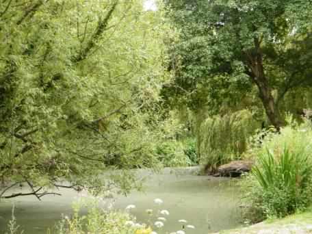 Click for a larger image, picnic bench to the Brickfields Estate