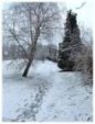 Brickfields Country Park in winter