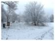 Brickfields Country Park in winter