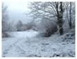 Brickfields Country Park in winter