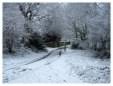 Brickfields Country Park in winter