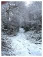 Brickfields Country Park in winter