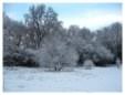 Brickfields Country Park in winter