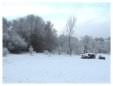 Brickfields Country Park in winter