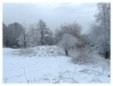 Brickfields Country Park in winter