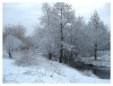 Brickfields Country Park in winter