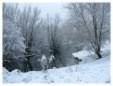 Brickfields Country Park in winter