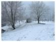 Brickfields Country Park in winter