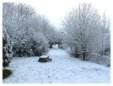 Brickfields Country Park in winter