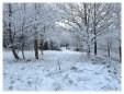 Brickfields Country Park in winter