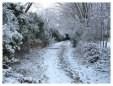 Brickfields Country Park in winter