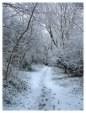 Brickfields Country Park in winter